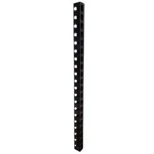 42u vertical Manager small