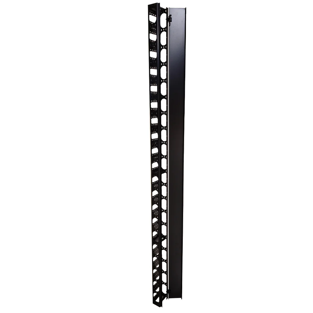 42u vertical manager small with door